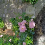 L'ulivina - Entspannung Garten Sonnenterrasse By Interhome Sorrento